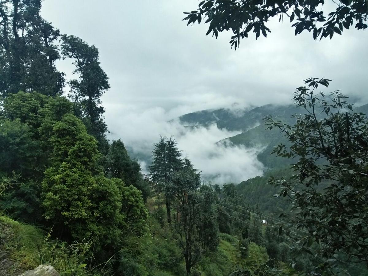 Oyo 11877 Royal Residency Hotel New Tehri Phòng bức ảnh